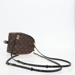 Louis Vuitton Palm Springs mini