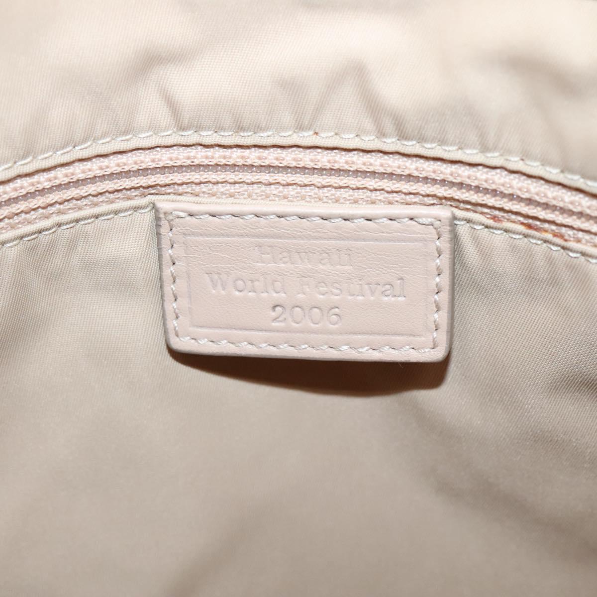 Dior Street Chic Hobo