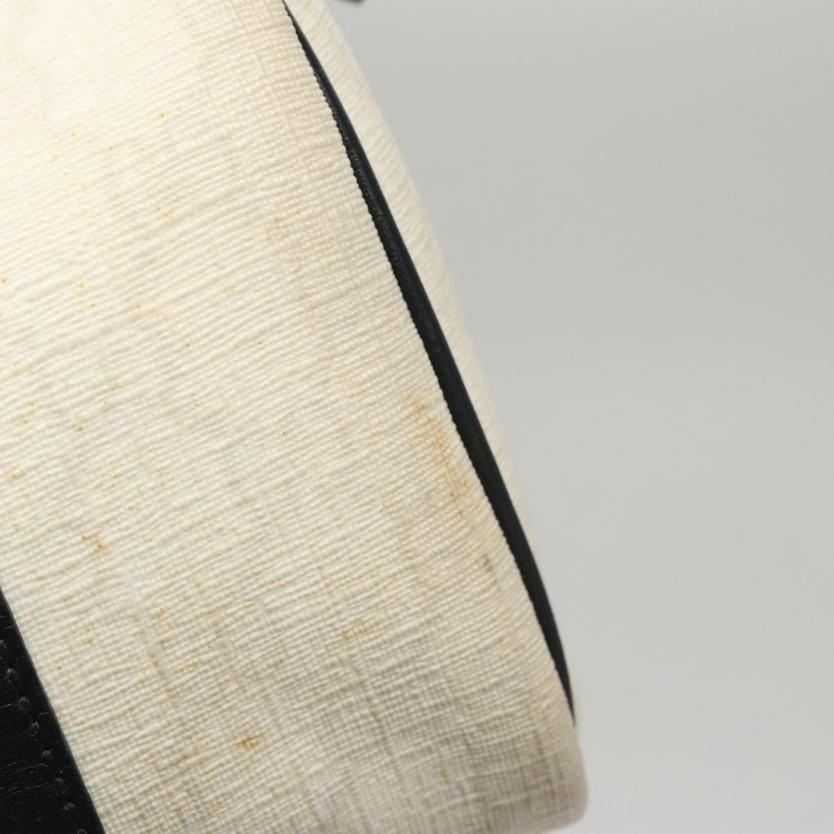 Gucci GG canvas