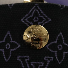 Louis Vuitton Ipanema
