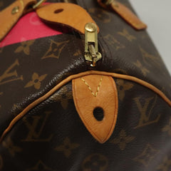 Louis Vuitton Speedy 30