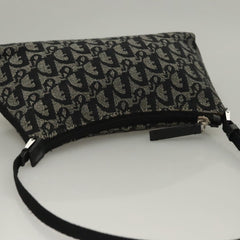 Dior Trotter