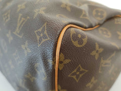 Louis Vuitton Speedy Handbag Monogram Canvas