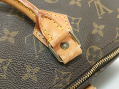 Louis Vuitton Speedy Handbag Monogram Canvas