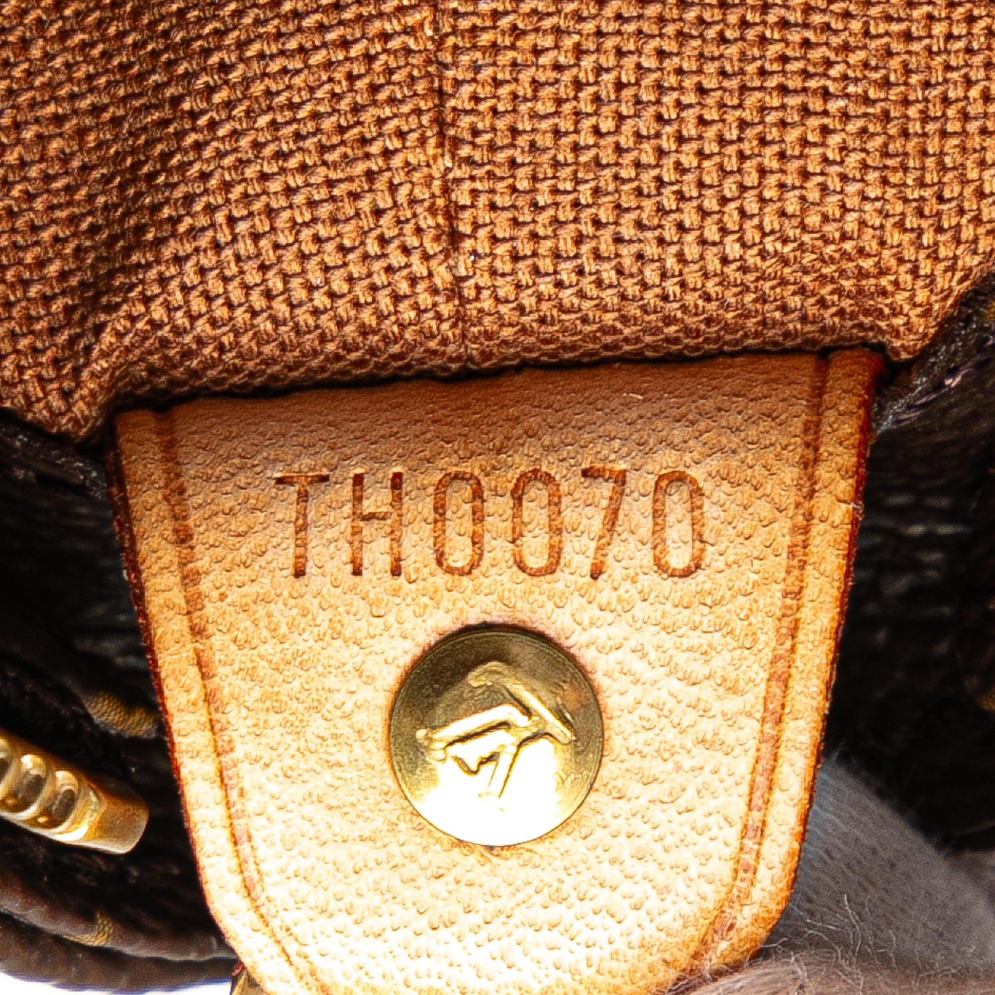 Monogram Cabas Mezzo