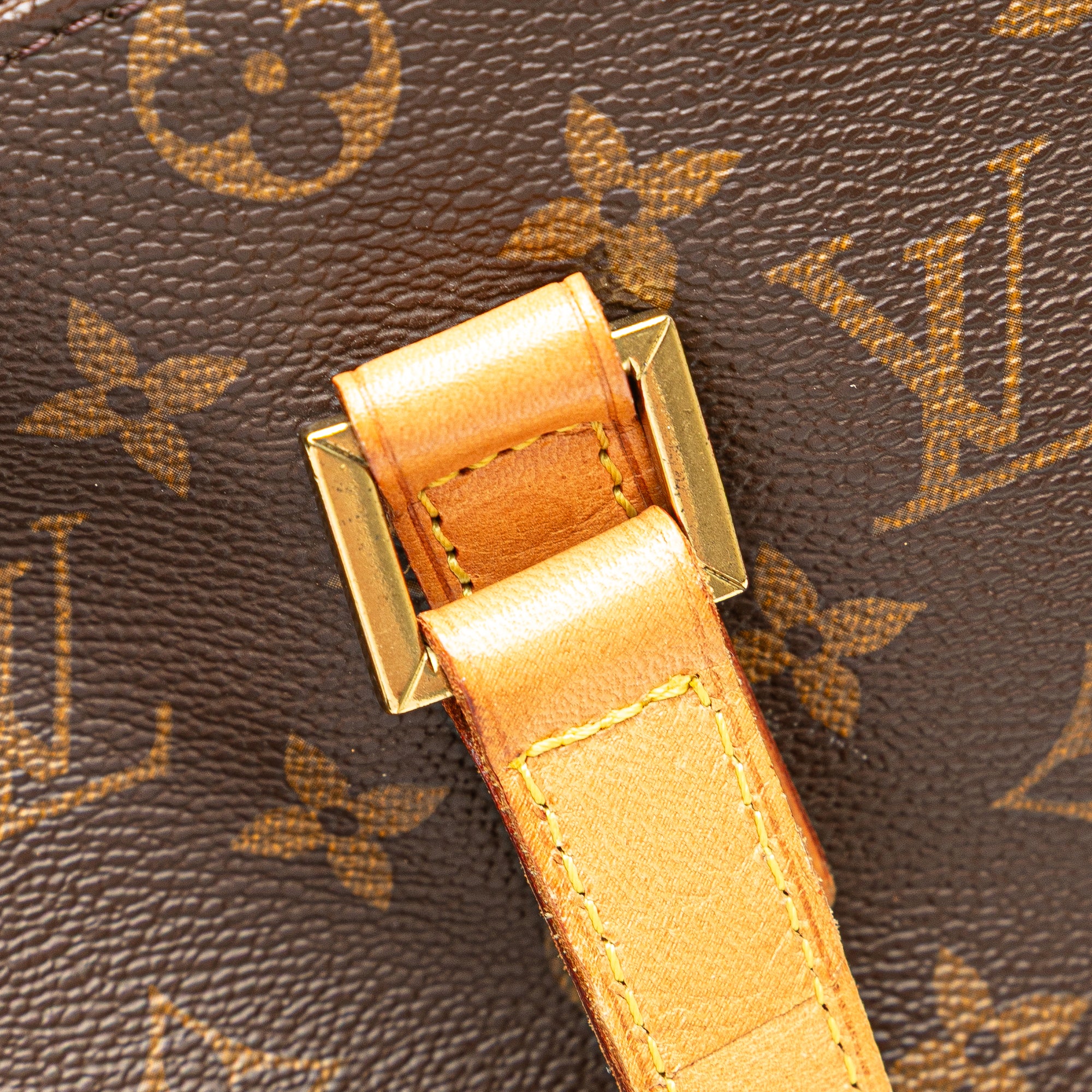 Monogram Cabas Mezzo