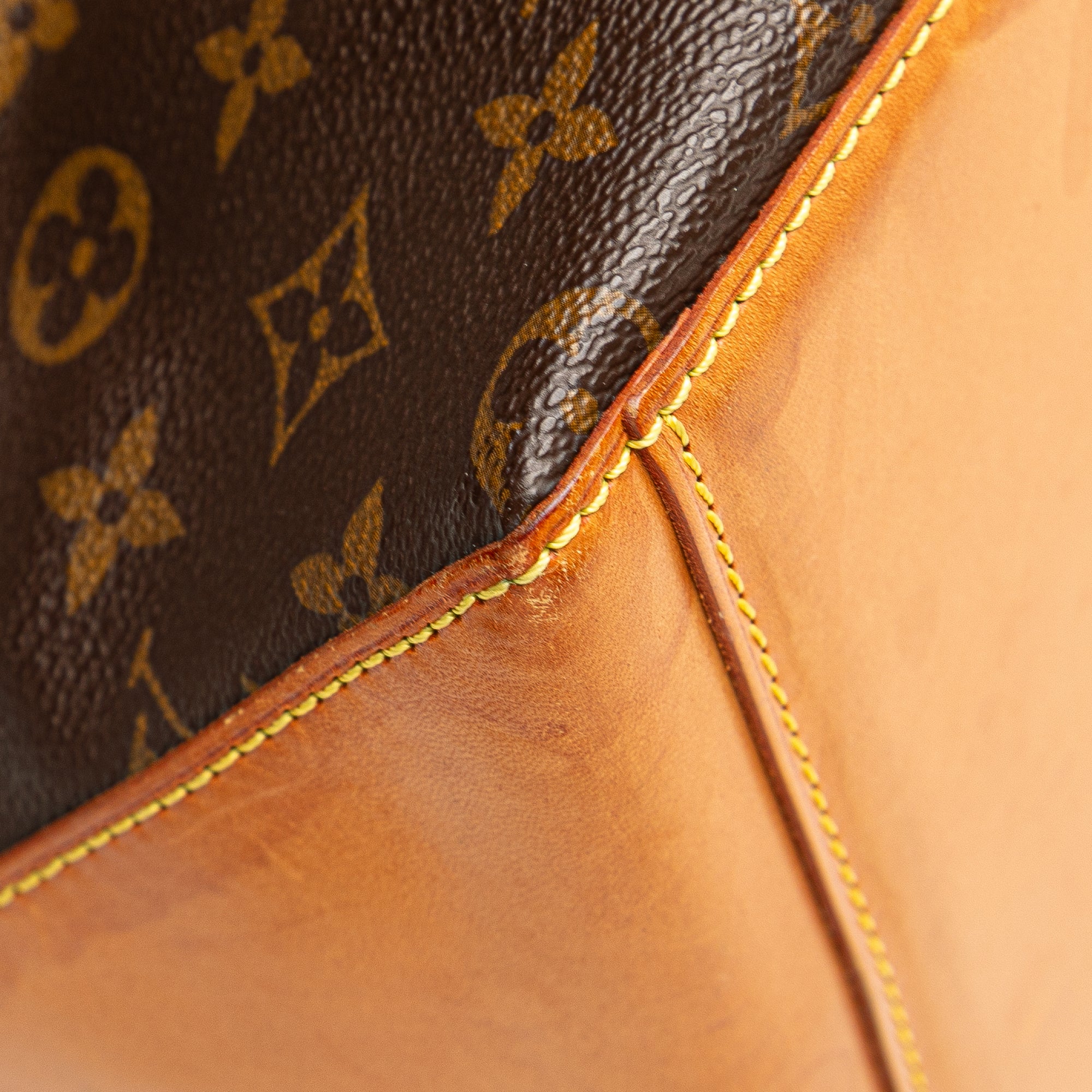Monogram Cabas Mezzo
