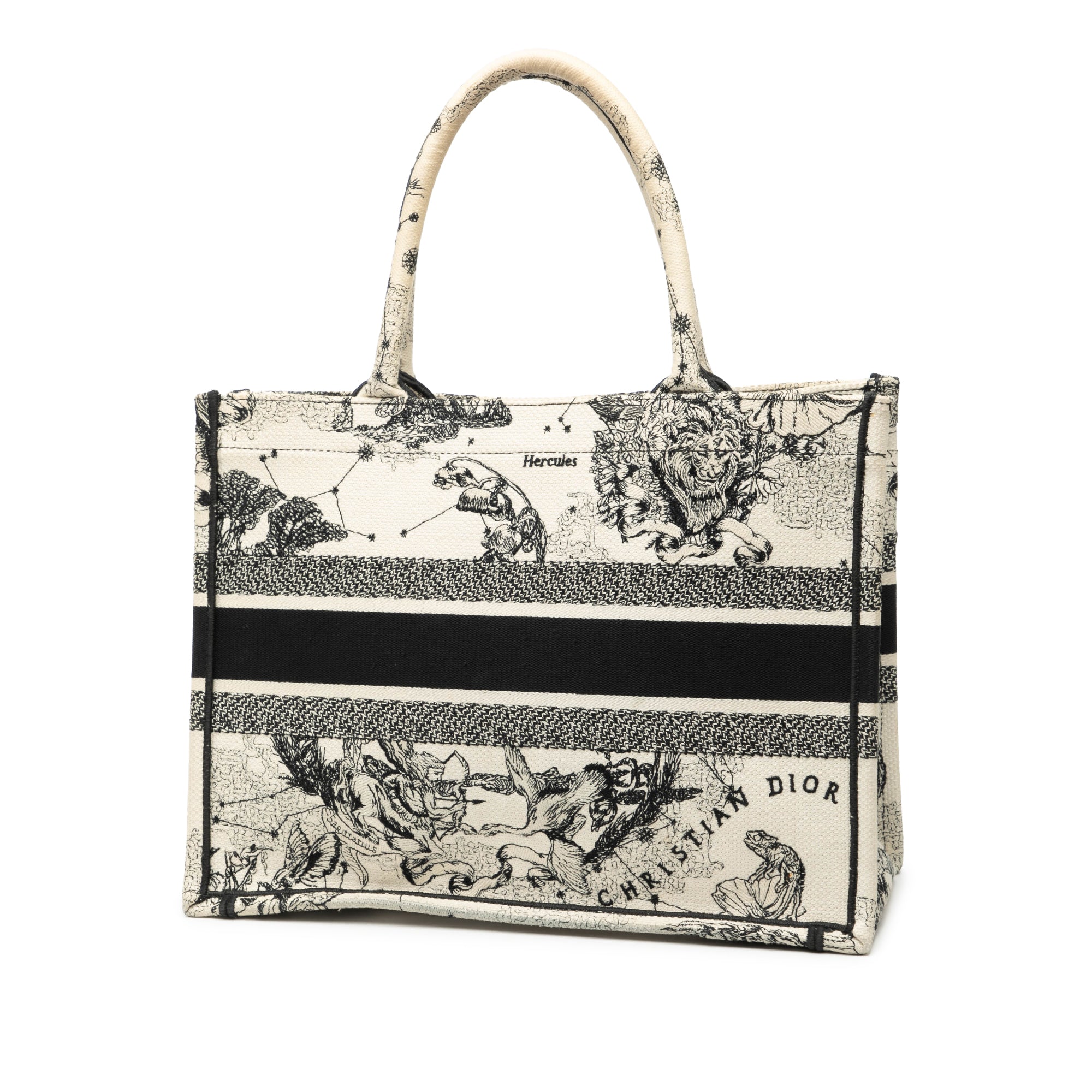 Medium Canvas Embroidered Zodiac Toile De Jouy Book Tote