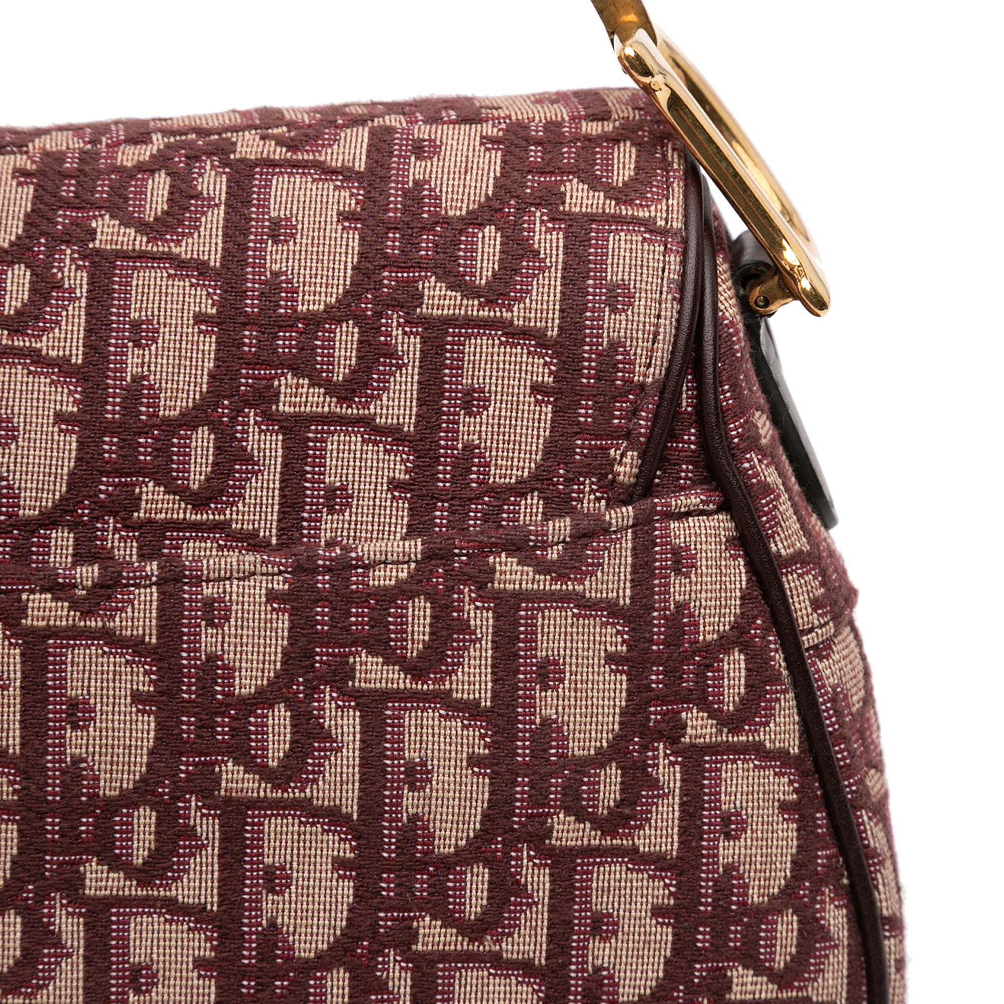 Oblique Canvas Saddle Bag