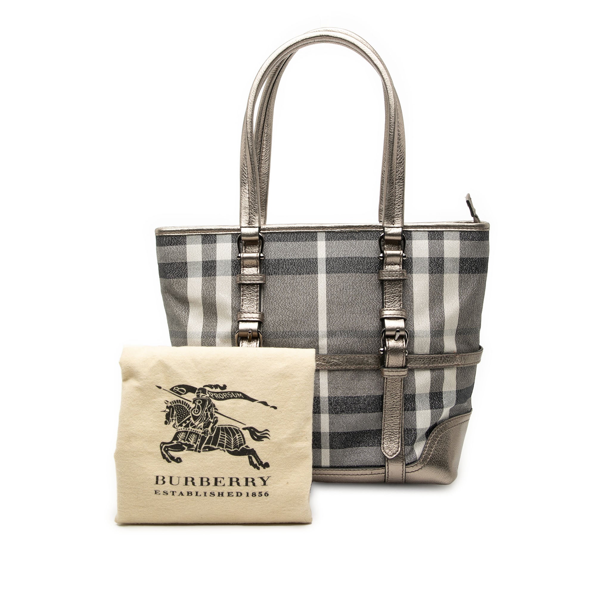 Small Shimmer Check Canvas Tote