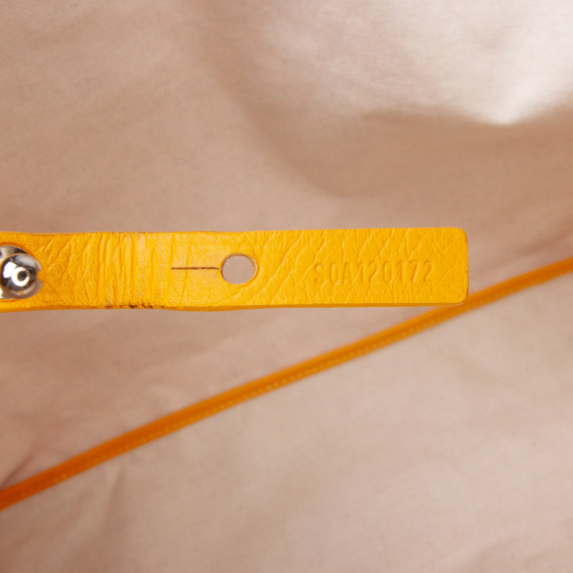 Goyardine Saint Louis PM