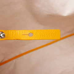 Goyardine Saint Louis PM