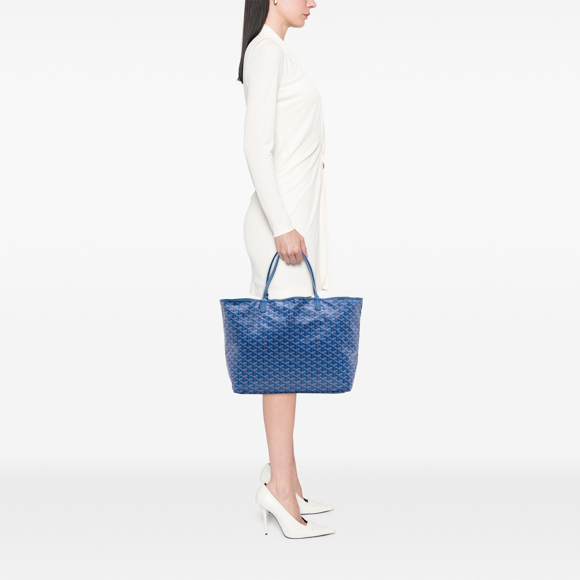 Goyardine Saint Louis GM