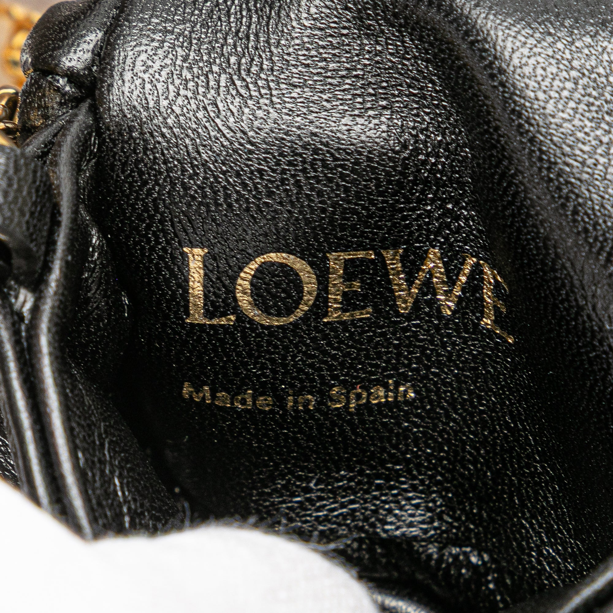 Shiny Lambskin Goya Puffer Case