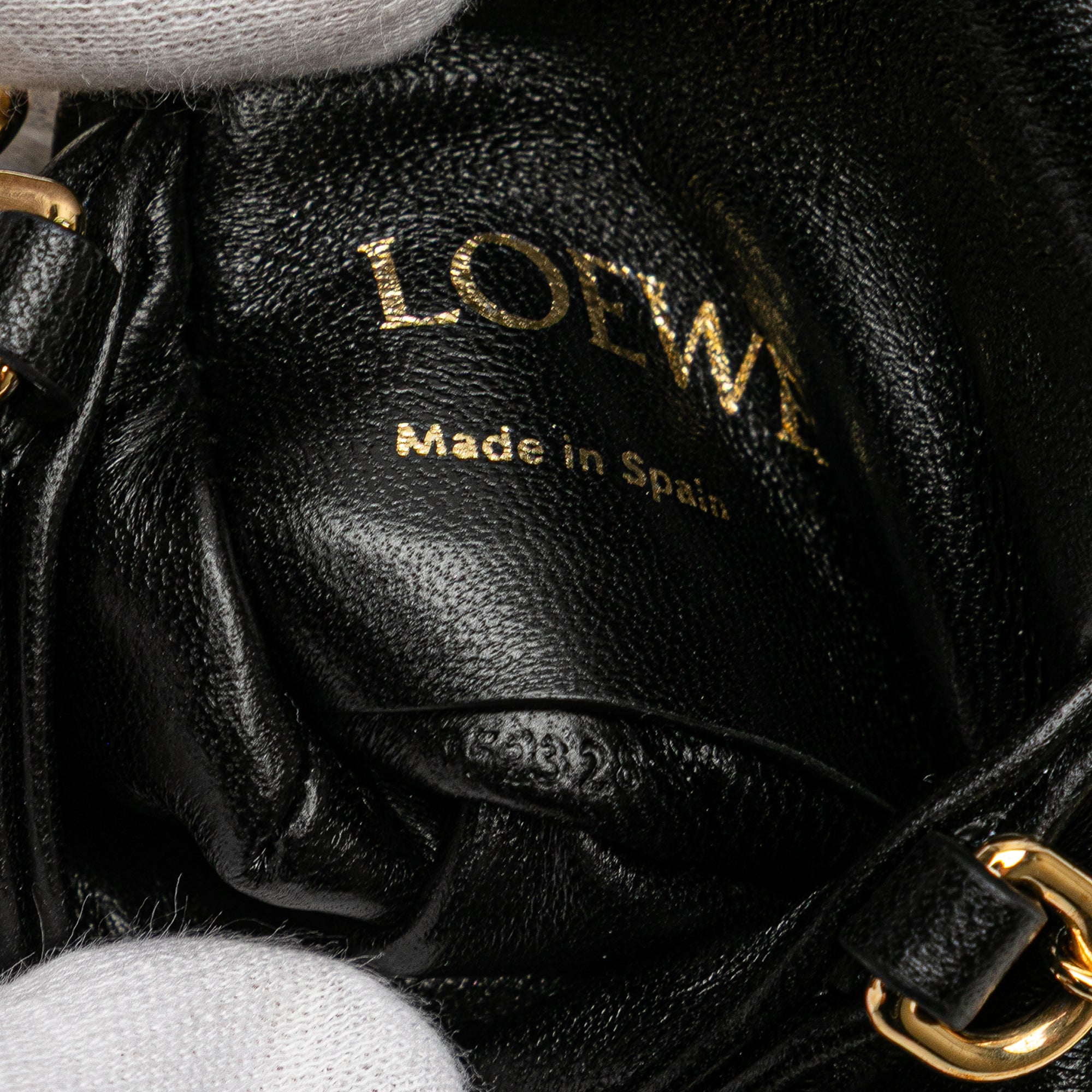 Shiny Lambskin Goya Puffer Case