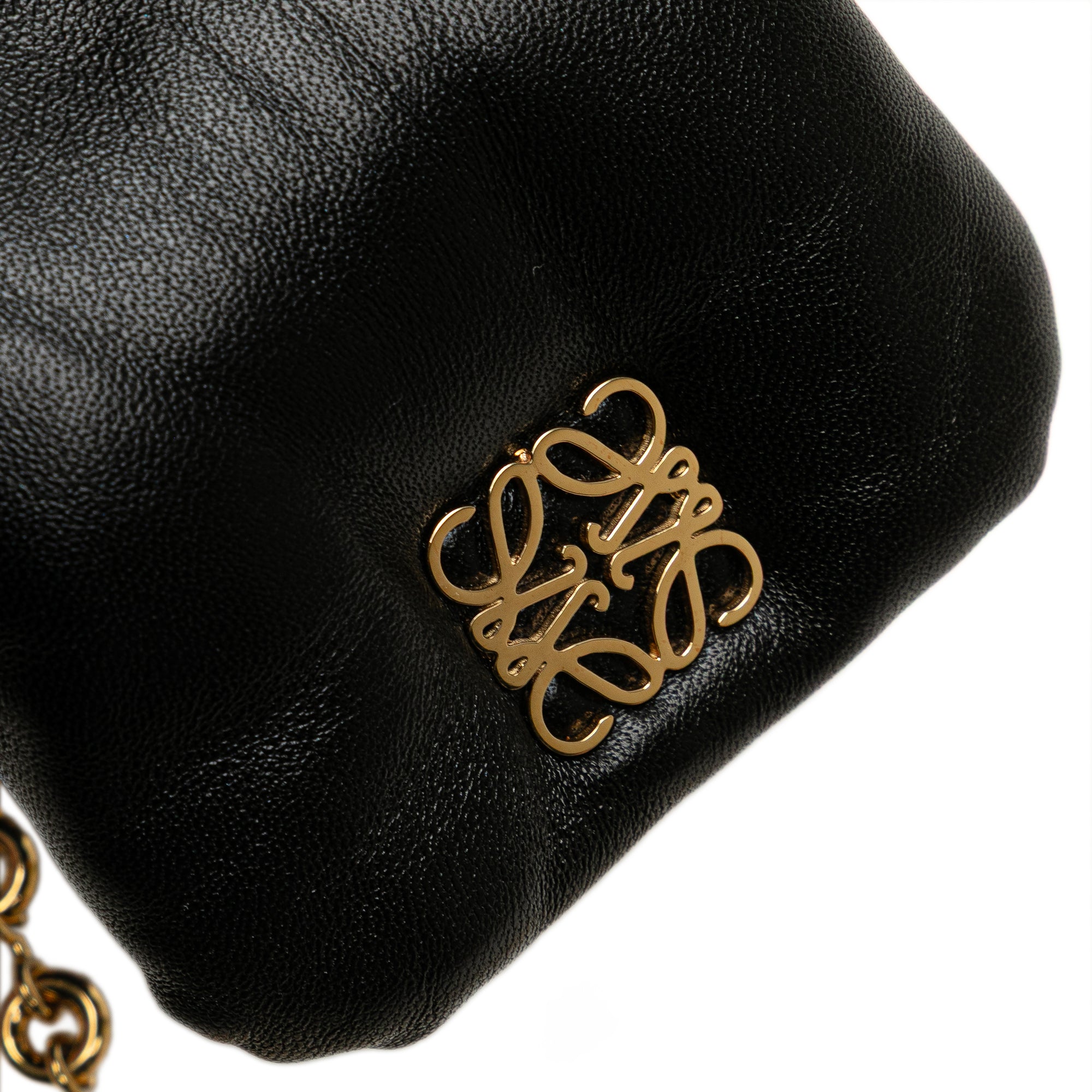 Shiny Lambskin Goya Puffer Case