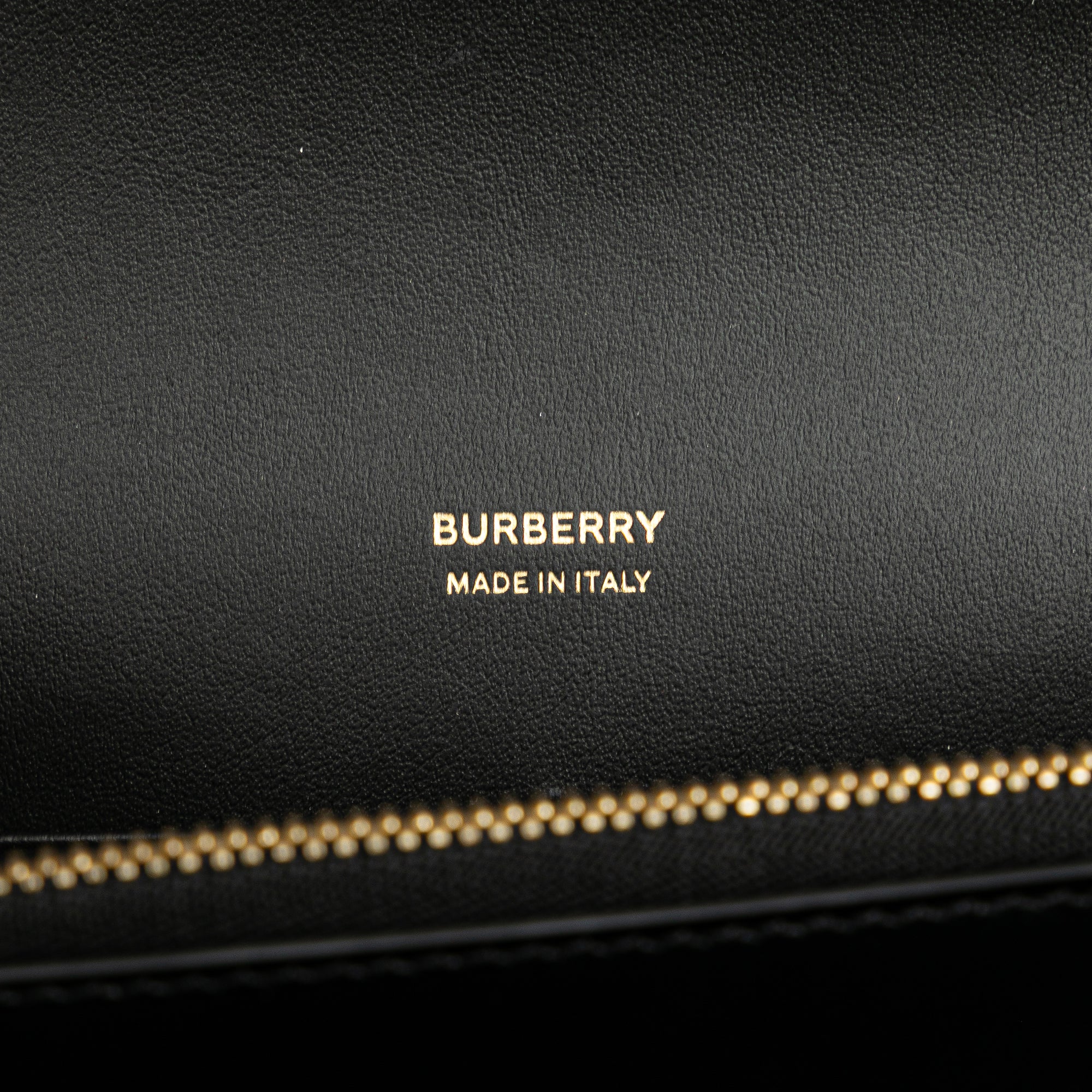Mini Leather TB Monogram Flat Crossbody