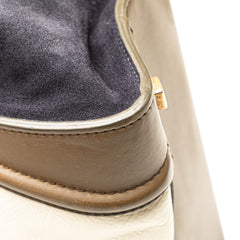 Mini Tricolor Calfskin and Suede Luggage Tote