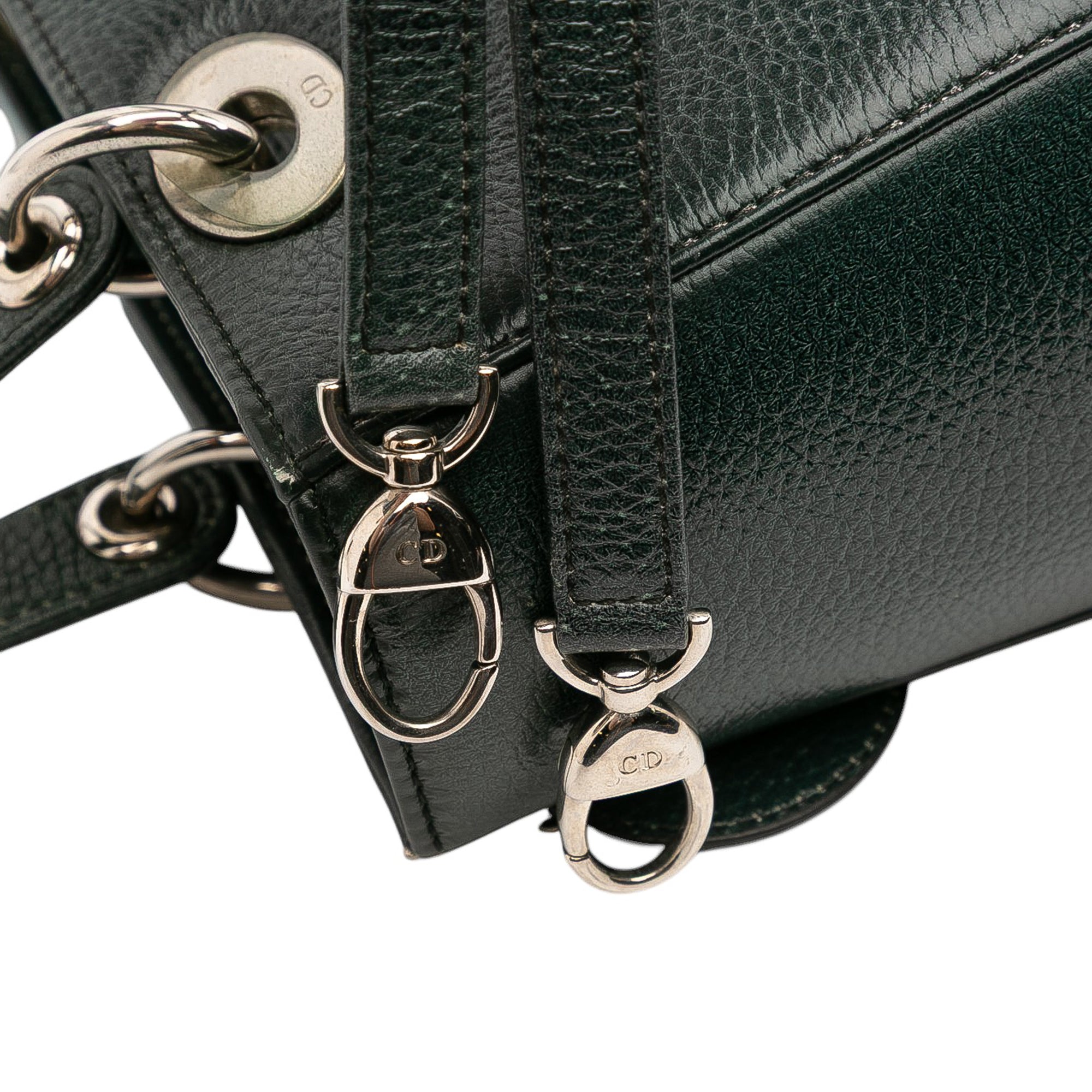 Medium Deerskin Floral Print Lady Dior