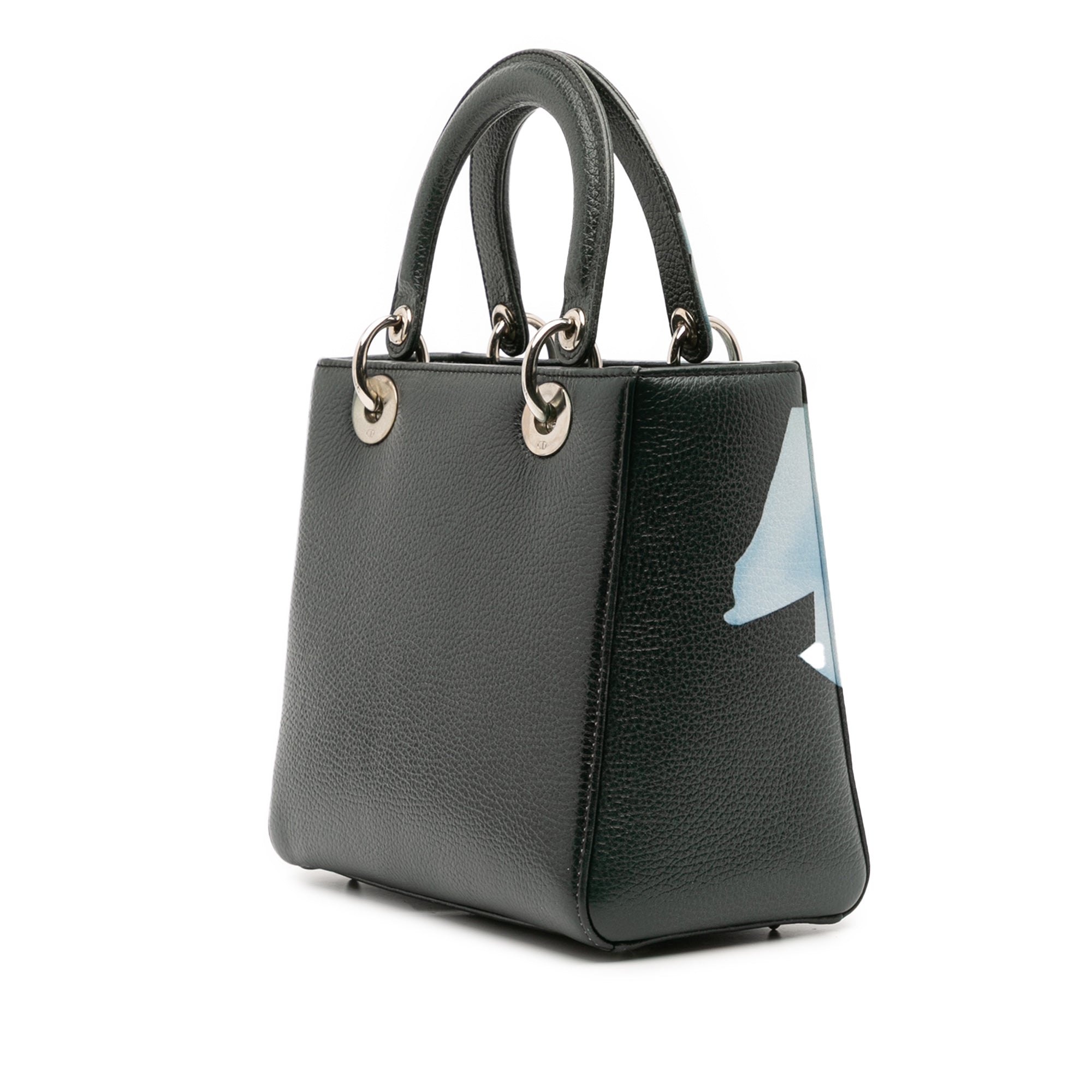 Medium Deerskin Floral Print Lady Dior