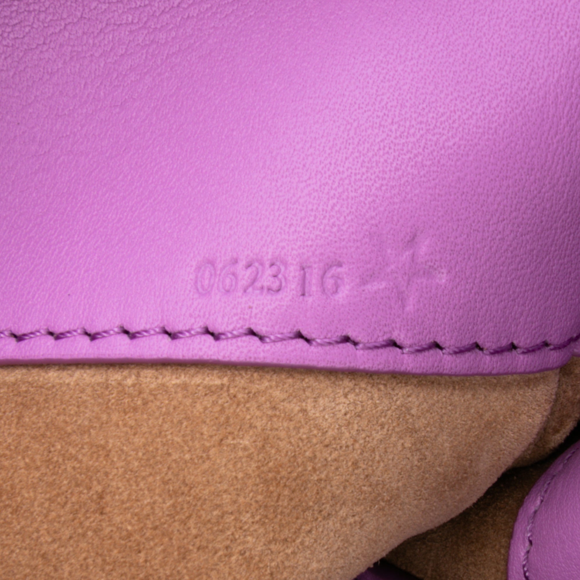 Shiny Calfskin Paseo Satchel