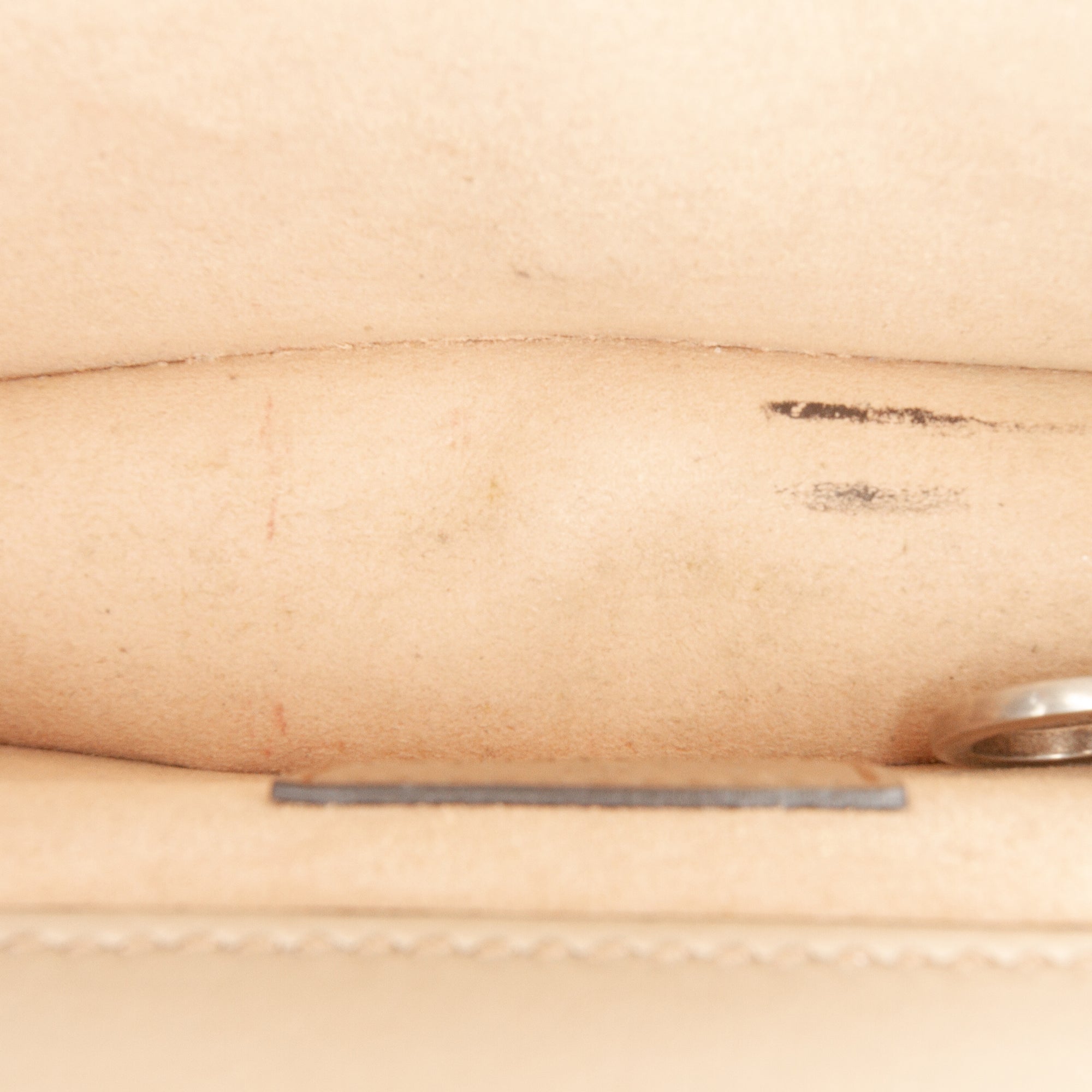 Mini GG Supreme Dionysus Crossbody