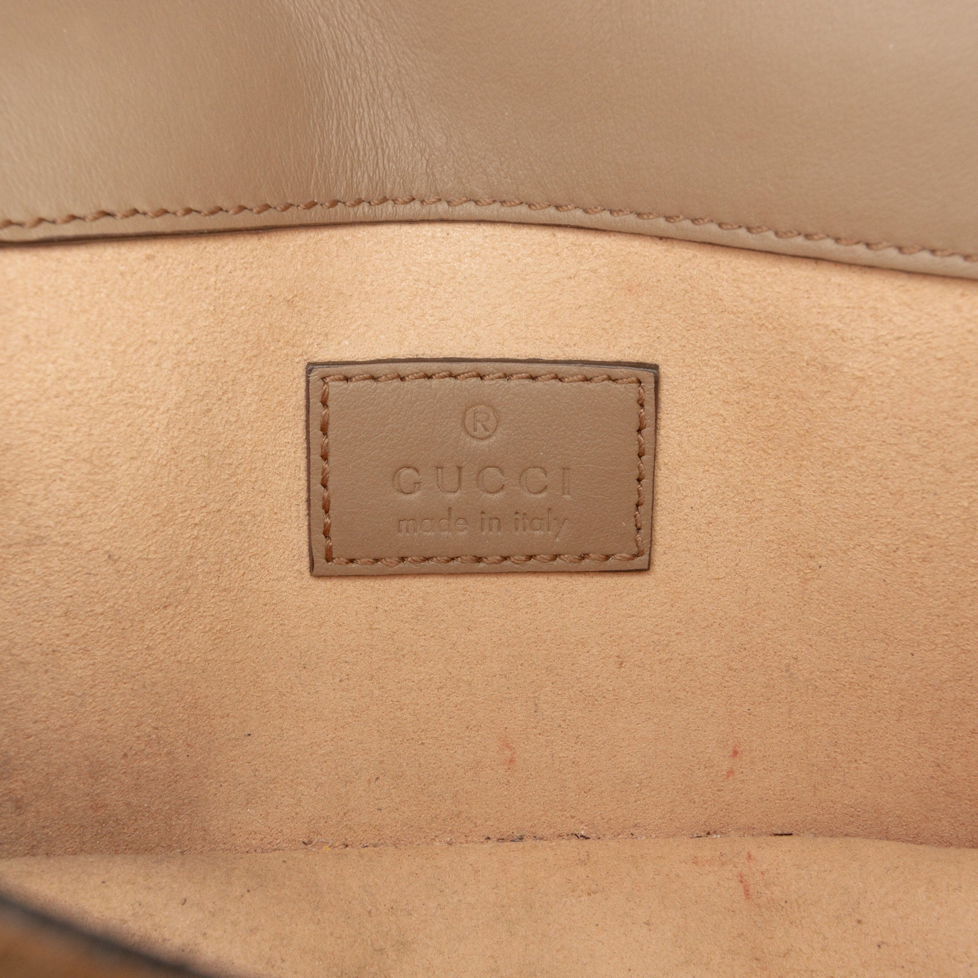 Mini GG Supreme Dionysus Crossbody