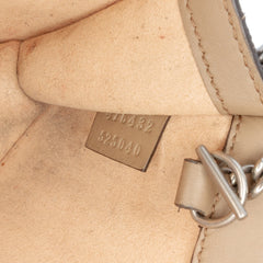 Mini GG Supreme Dionysus Crossbody