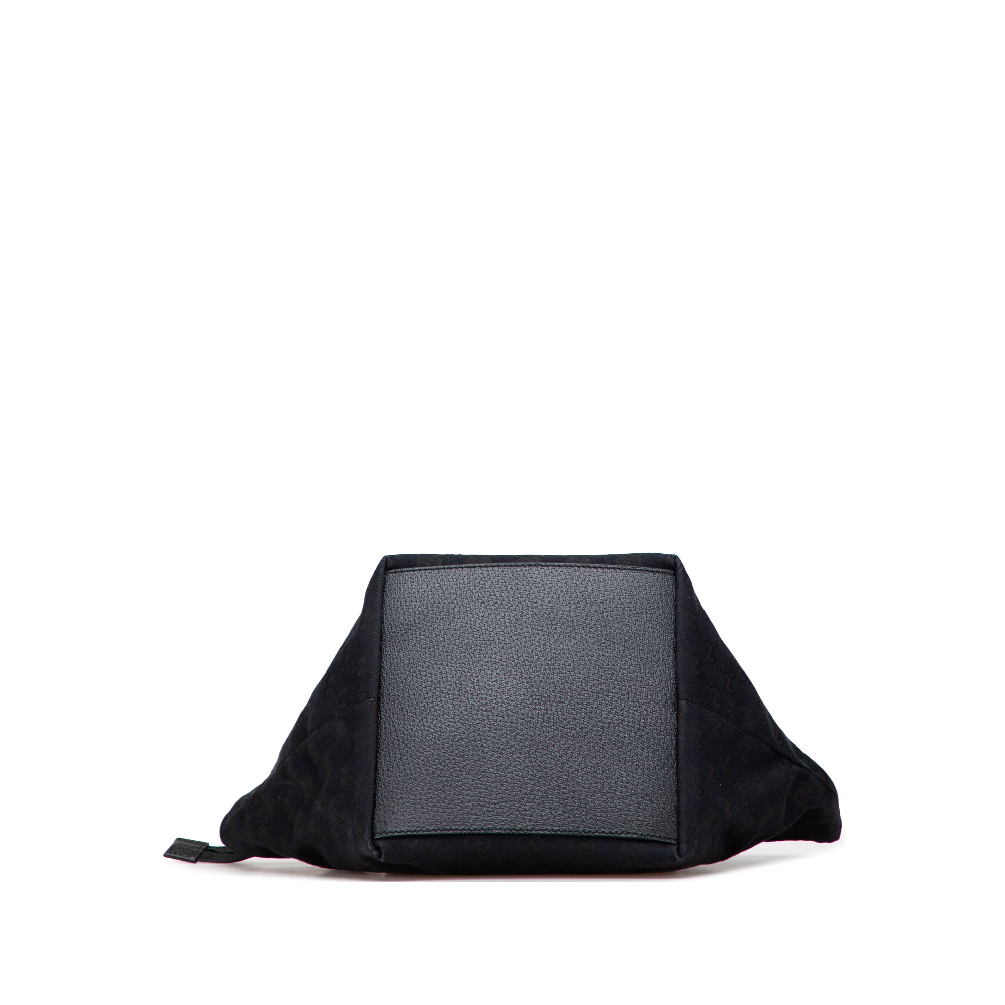 GG Canvas Web Handbag