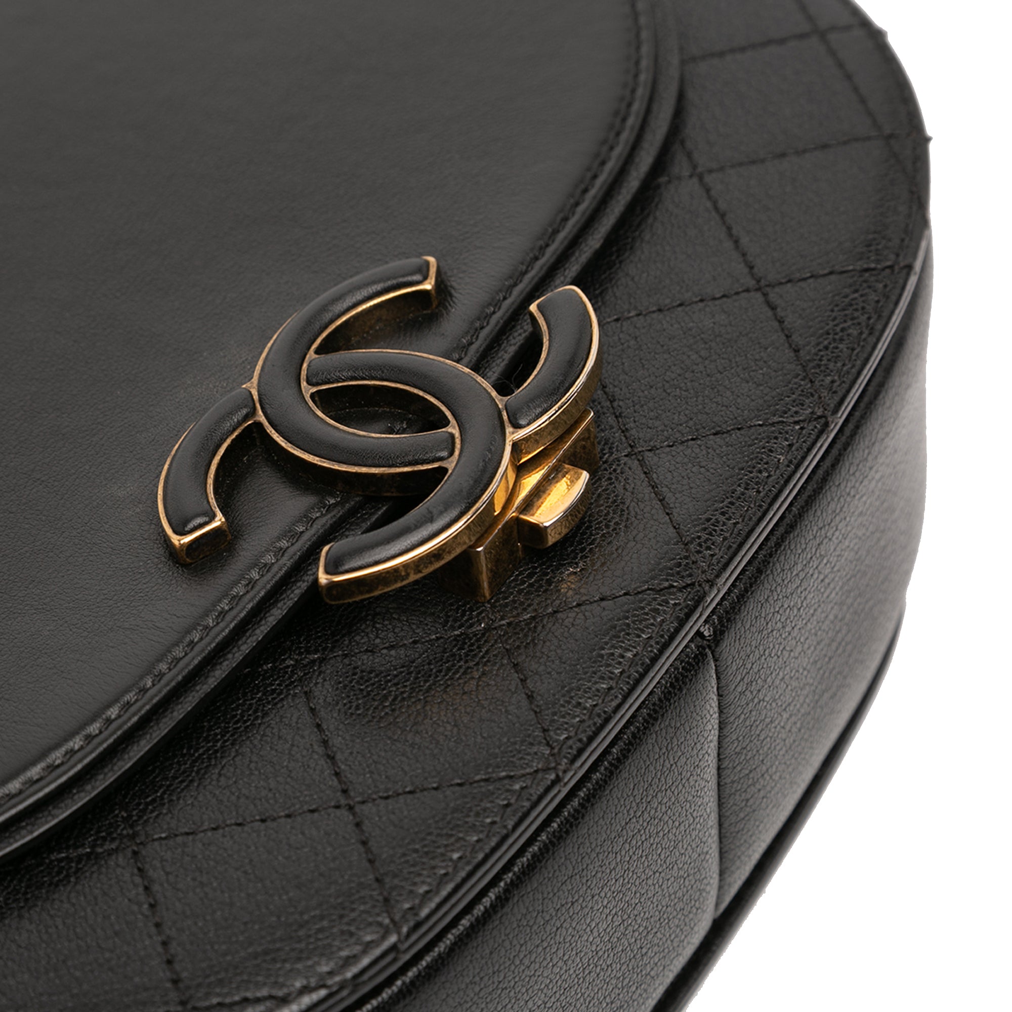 Medium Shiny Calfskin and Quilted Goatskin Coco Curve Flap