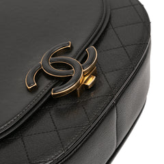 Medium Shiny Calfskin and Quilted Goatskin Coco Curve Flap