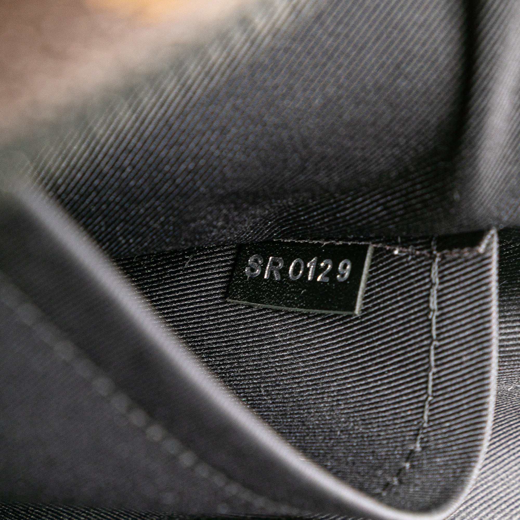 Monogram Solar Ray Utility Front Bag