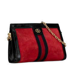 Small Suede Ophidia Chain Crossbody_1