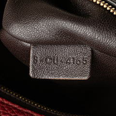 Medium Tricolor Leather Trapeze Satchel