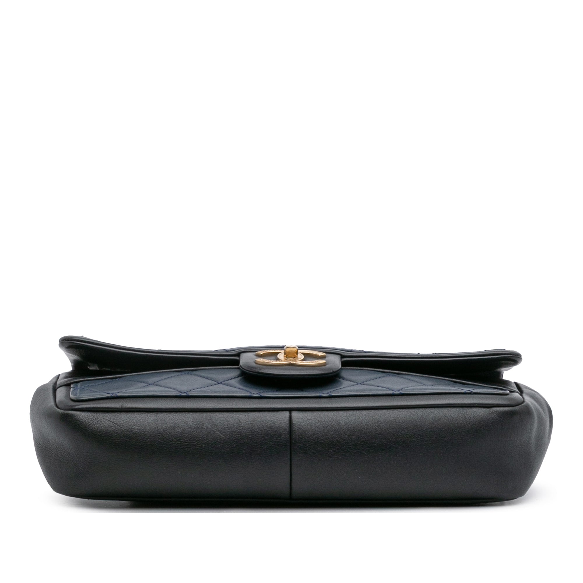 Medium Bicolor Calfskin Graphic Flap