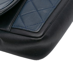 Medium Bicolor Calfskin Graphic Flap