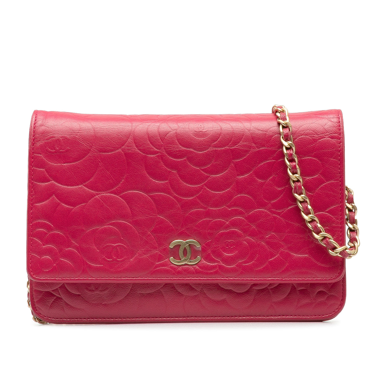 Camellia Wallet On Chain_0
