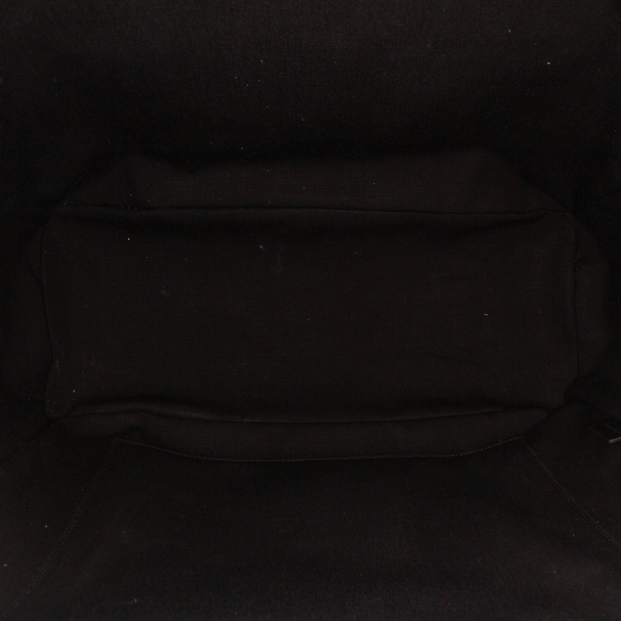 Medium Triomphe Coated Canvas Backpack