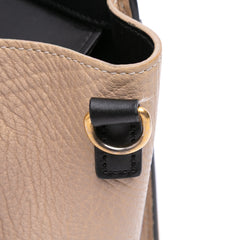Nano Tricolor Leather Luggage Tote