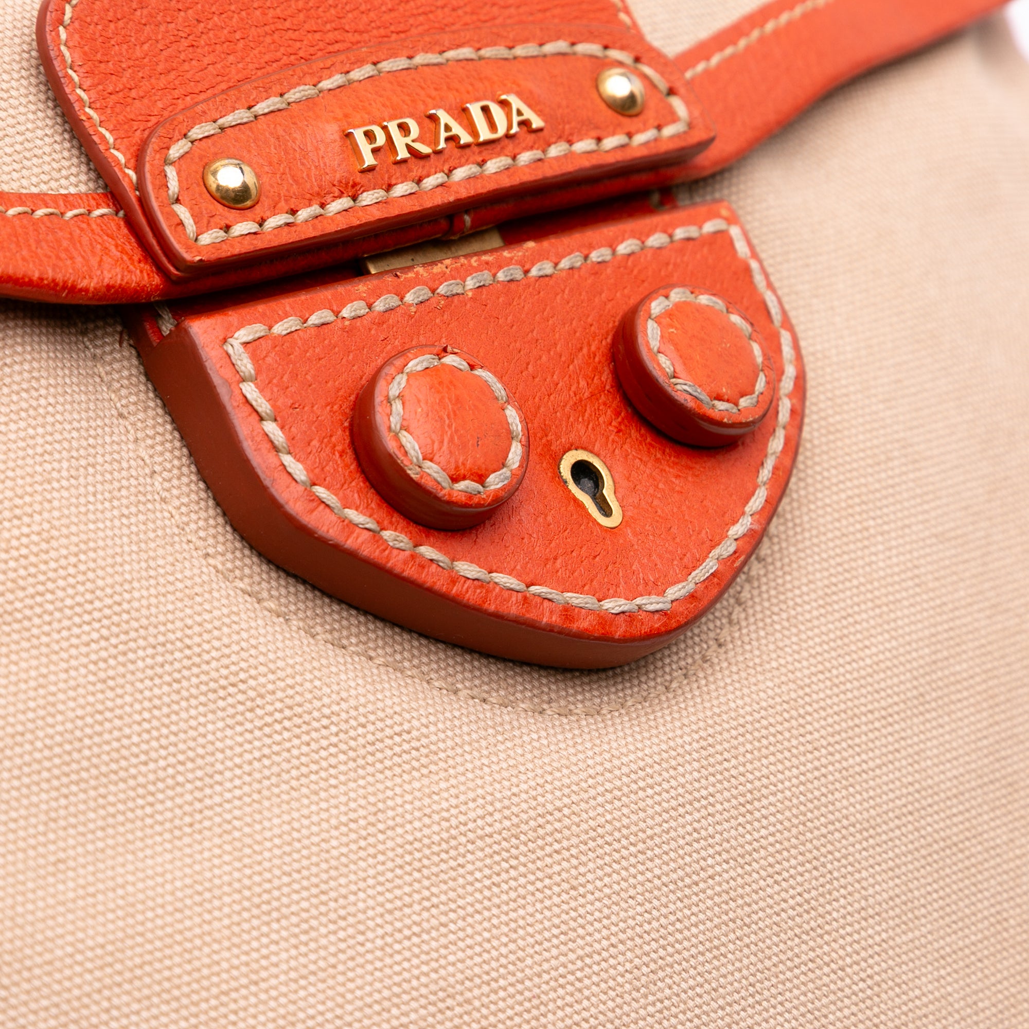 Cinghiale Trimmed Canapa Top Handle Bag