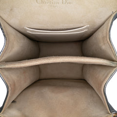 Metallic Studded Calfskin Vertical Diorama