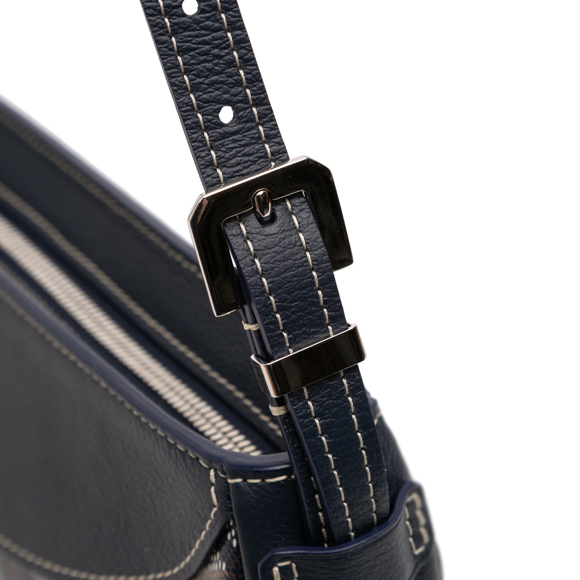 Goyardine Hirondelle