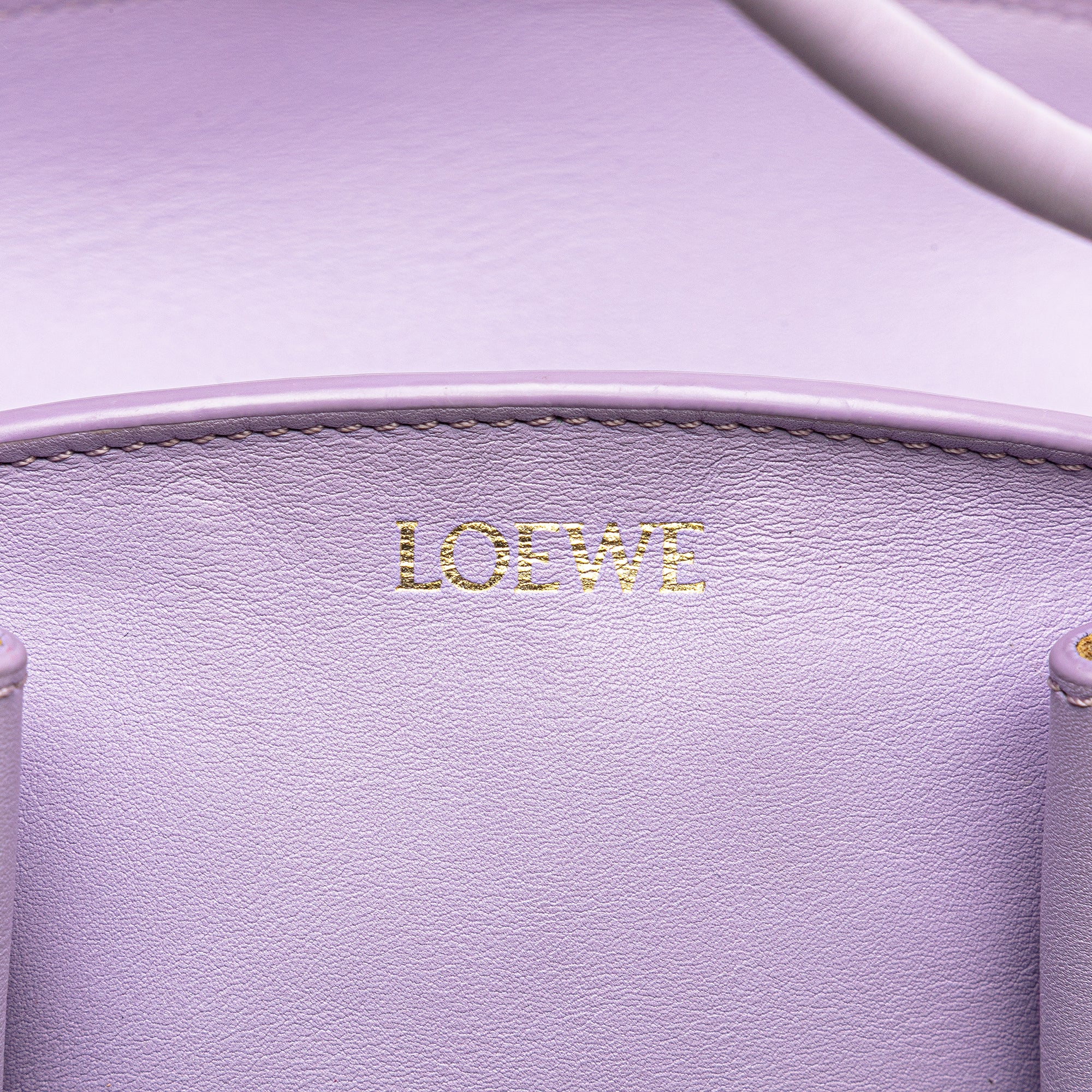 Small Shiny Calfskin Paseo Satchel
