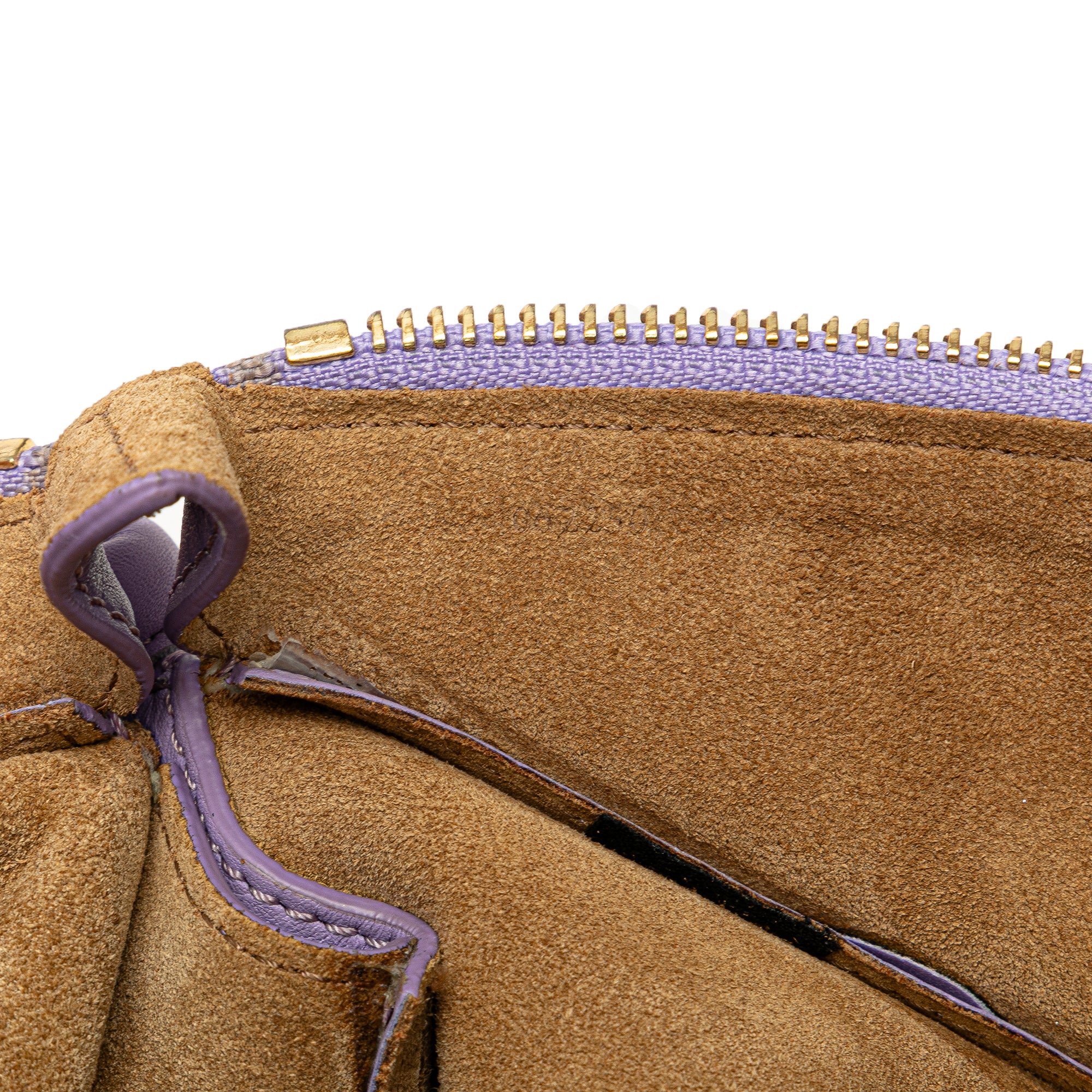 Small Shiny Calfskin Paseo Satchel