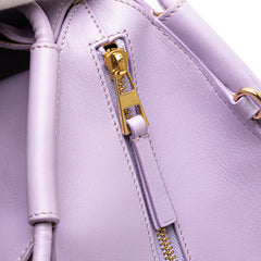 Small Shiny Calfskin Paseo Satchel