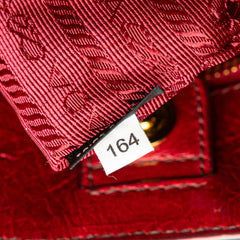 Vitello Shine Satchel