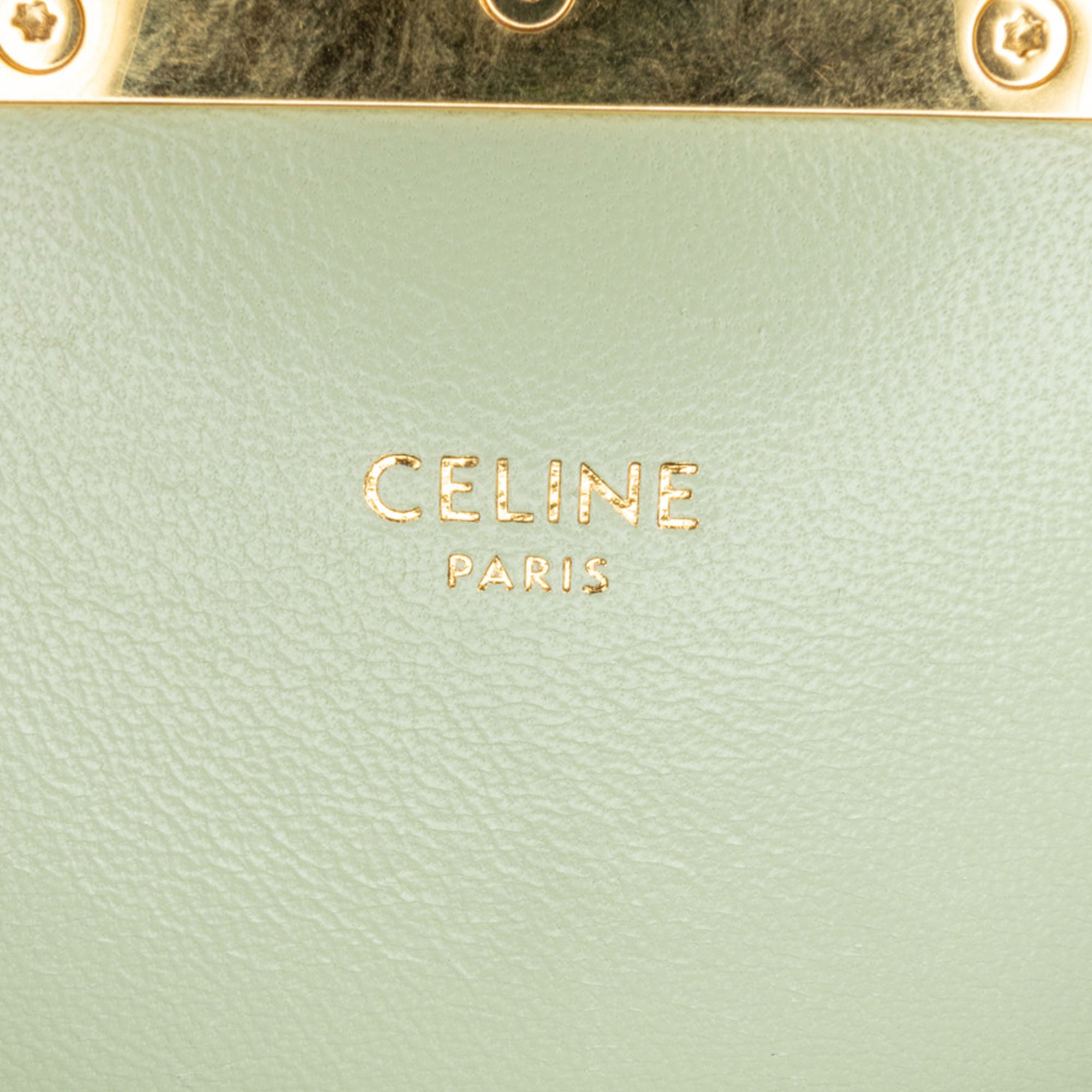 Teen Triomphe Coated Canvas and Calfskin Triomphe Crossbody