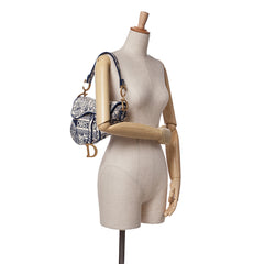 Canvas Embroidered Toile de Jouy Saddle Bag