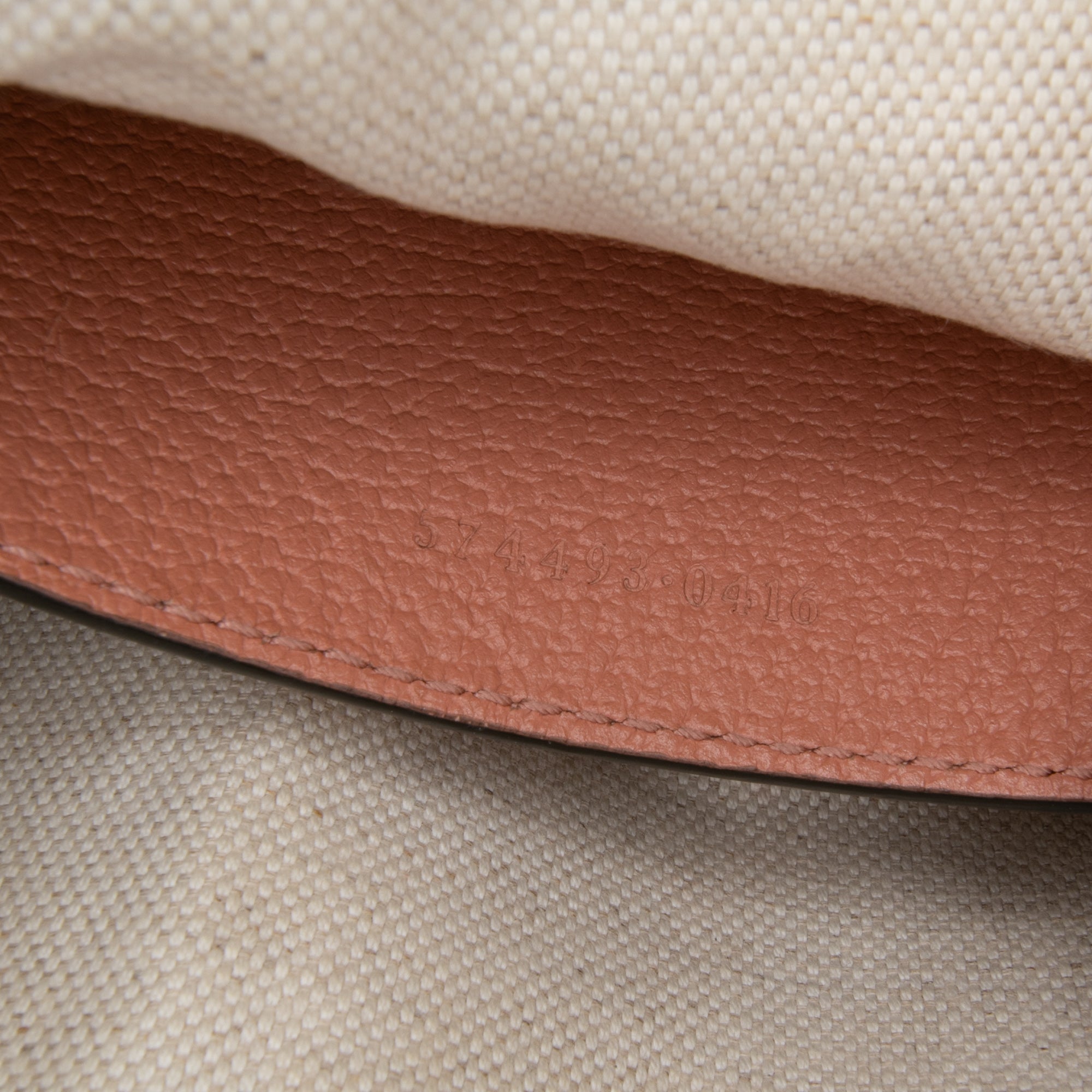 Mini GG Canvas Ophidia Crossbody