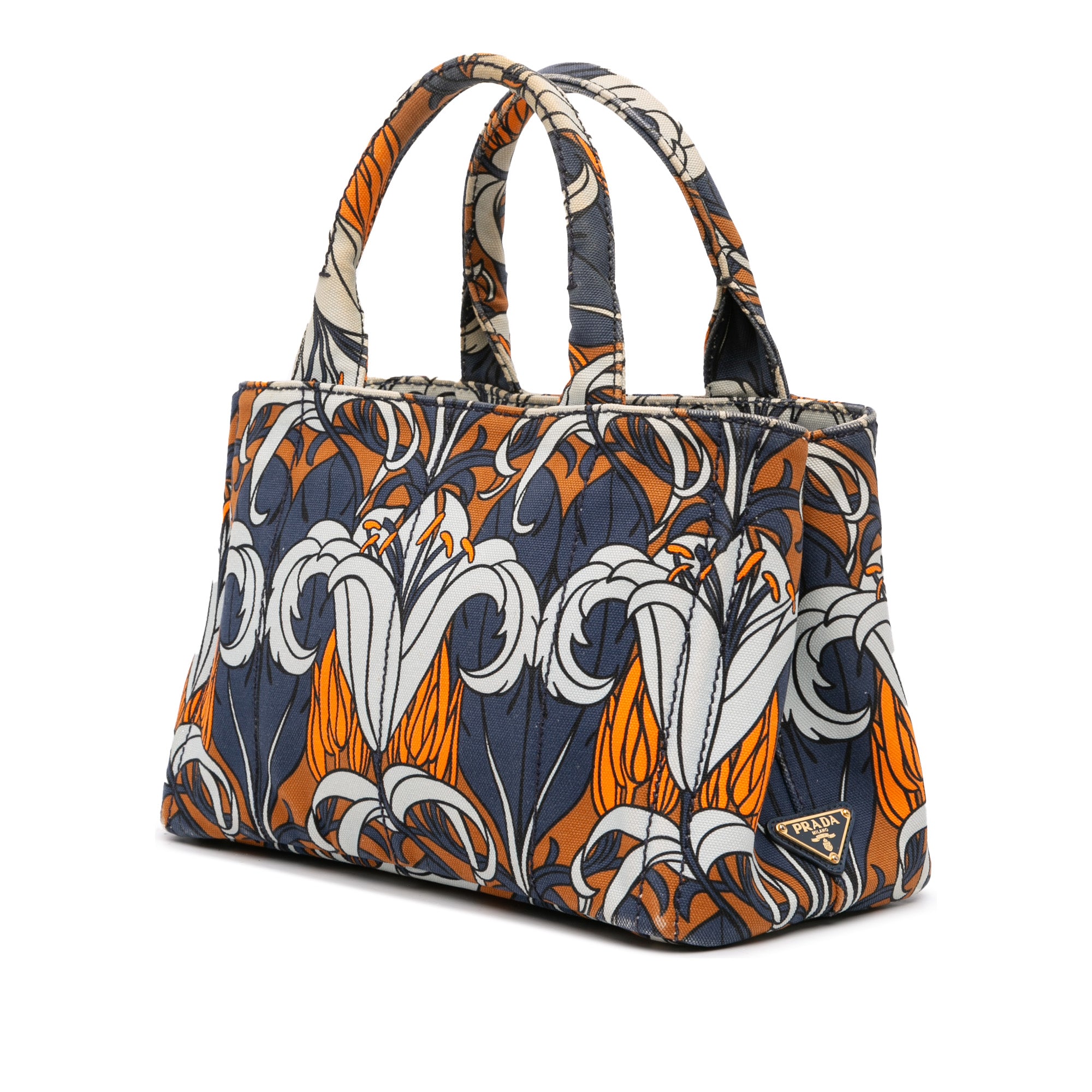 Small Floral Printed Canvas Canapa Satchel